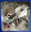 Hobby Master 1/72 Scale HA33012 - Northrop F-5A RNLAF Demo Jet K-3031 1978