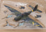 Dragon Wings 1/72 Scale 50200 Ju87G-2 Hans-Ulrich Rudel III/SG2 E. Front 1944-45