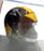 Altaya 1/5 Scale MW8ALA0069 - F1 Helmet Carlos Pce Ferrari 1973