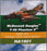Hobby Master 1/72 Scale HA1901 - McDonnell Douglas F-4D Phantom II 555th TFS '72