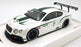 TSM Model 1/18 Scale TSM131804R - 2012 Bentley Continental GT3 Concept #7