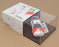 Trofeu 1/43 Scale REP01 - Toyota Celica GT-4 Boucles de Spa 96 #5 F. Loix