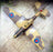 Forces Of Valor 1/72 Scale FOV-812060A - Curtiss P-40B Tomahawk MK IB Plane