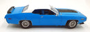 Auto World 1/18 Scale Diecast AMM1012/06 - 1971 Plymouth Roadrunner Blue/White