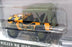 Greenlight 1/64 Scale 61010-D - 1943 Willys MB Jeep - U.S. Army