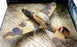 Forces Of Valor 1/72 Scale FOV-812060A - Curtiss P-40B Tomahawk MK IB Plane