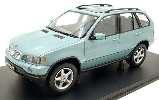 Carson Approx 34cm Long 6623H - BMW X5 - Metallic Green