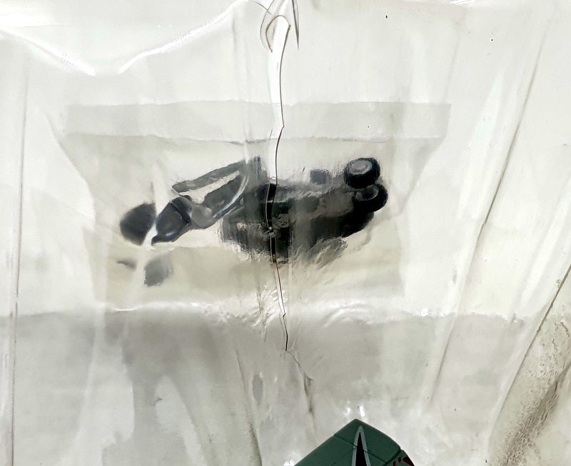 Hobby Master 1/72 Scale HA1610 - Mirage 2000-5F #72 Cigognes 2004