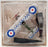 Amercom 1/72 Scale Aircraft AM1602A9 - 1931 Bristol Bulldog No19 Sqd RAF